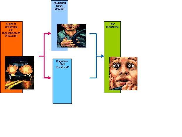 Theories Of Emotion