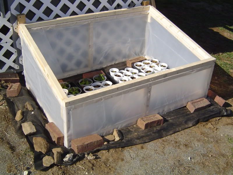 Cold frame plastic sheeting