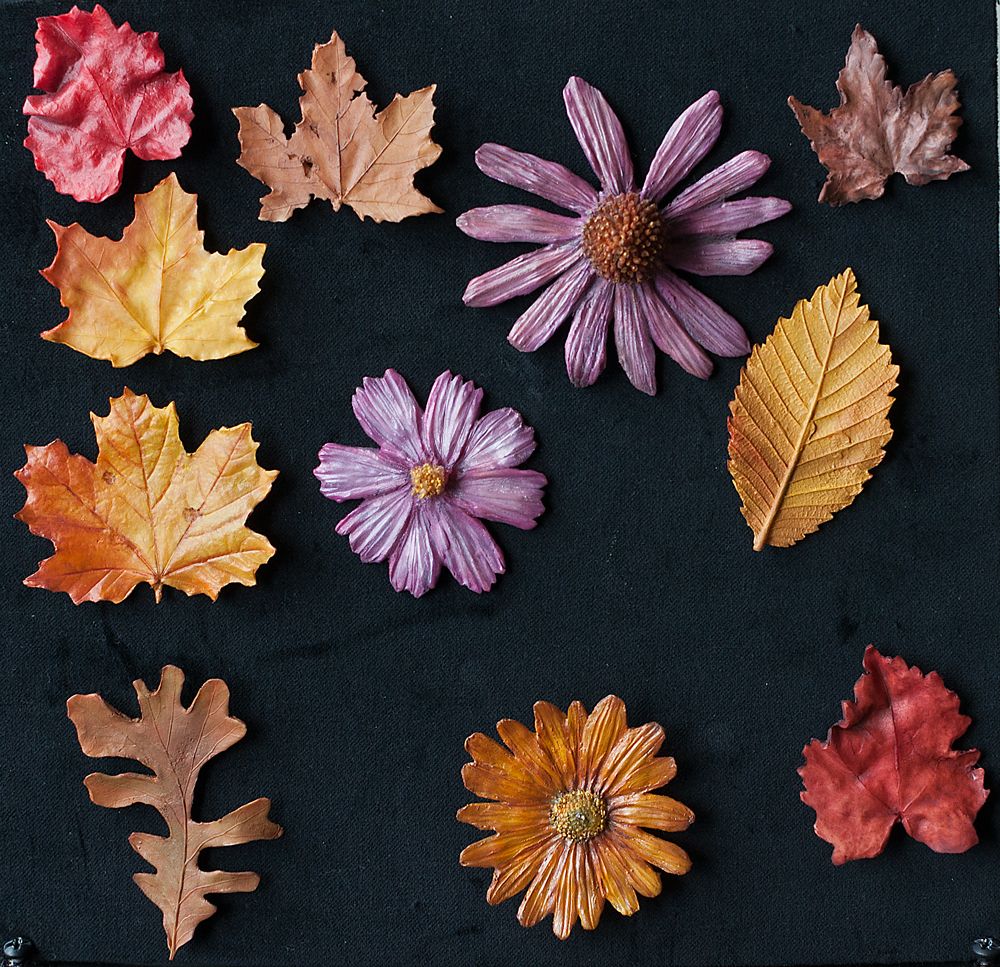 Leaf and flower magnets by MJI