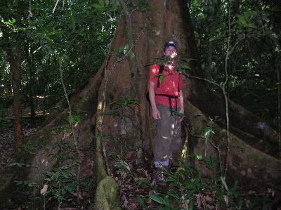 Toby and tree with buttress roots