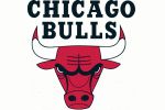 Chicago Bulls main logo
