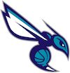 Charlotte Hornets alternate logo
