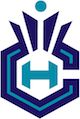 Charlotte Hornets alternate logo