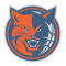 Charlotte Bobcats alternate logo