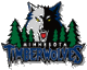 Minnesota Timberwolves main logo