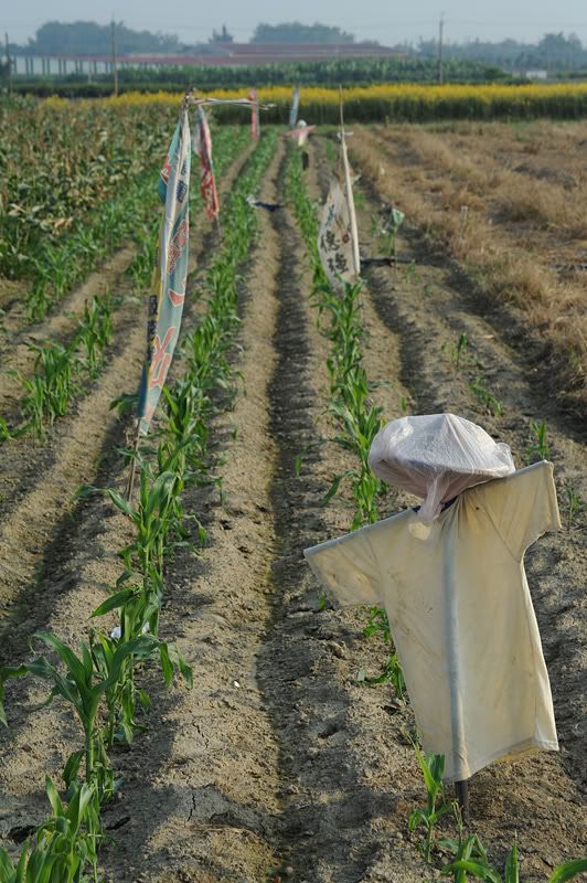 http://img.photobucket.com/albums/v73/molested_cow/Taiwan%20Tainan%202011/DSC_1504.jpg