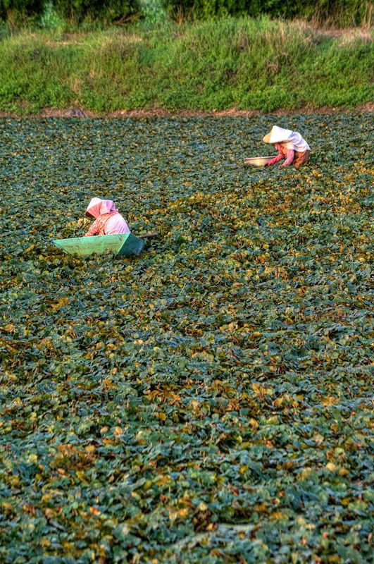 http://img.photobucket.com/albums/v73/molested_cow/Taiwan%20Tainan%202011/DSC_1582.jpg
