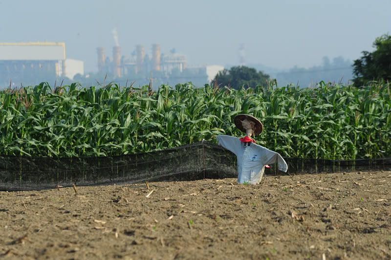 http://img.photobucket.com/albums/v73/molested_cow/Taiwan%20Tainan%202011/DSC_3737.jpg