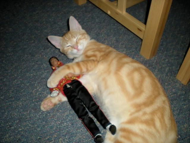 DSCN2696.jpg