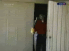 538hlv.gif