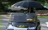 ROLLIN.gif
