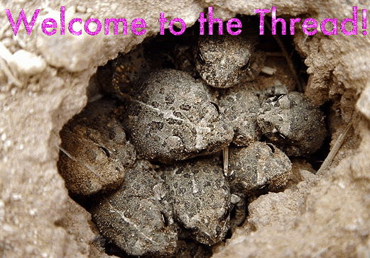 toads2b.gif