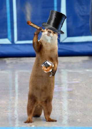 Lord Otterby Avatar