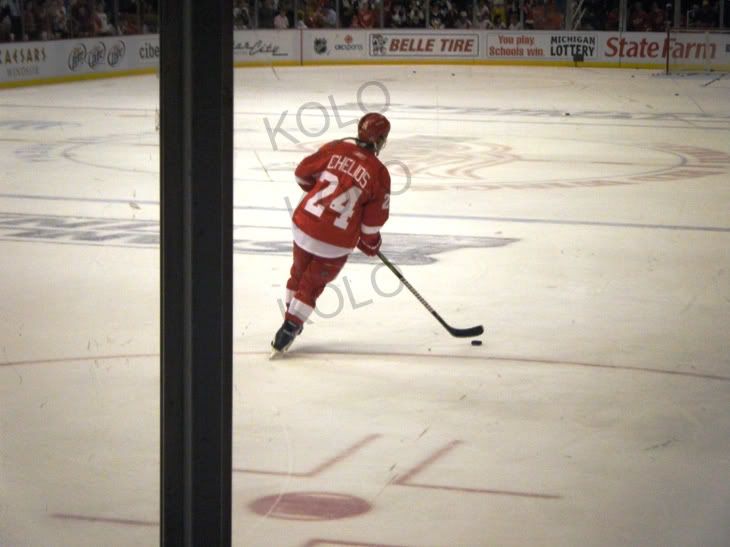 3rdrowwings013-1.jpg