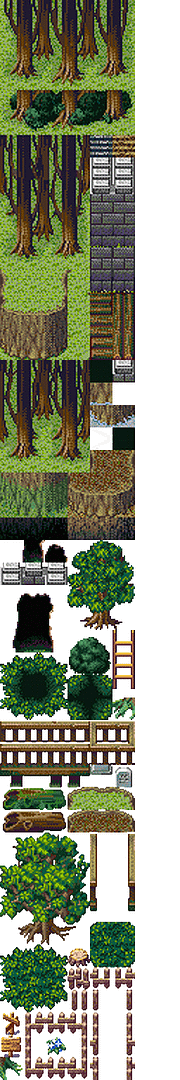 003-Forest.png