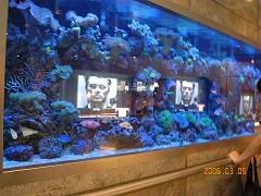 Image hosting by Photobucket