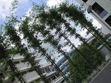 Image hosting by Photobucket