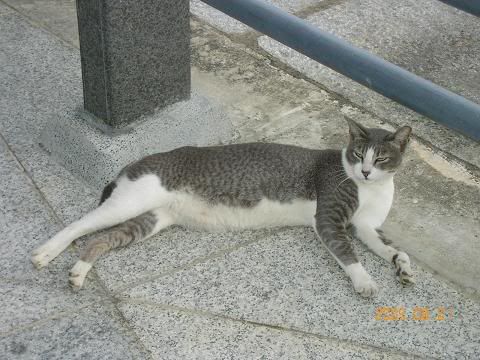 Image hosted by Photobucket.com