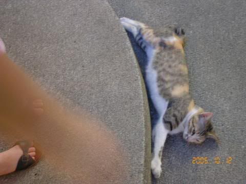 Image hosted by Photobucket.com