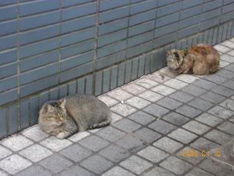 Image hosted by Photobucket.com