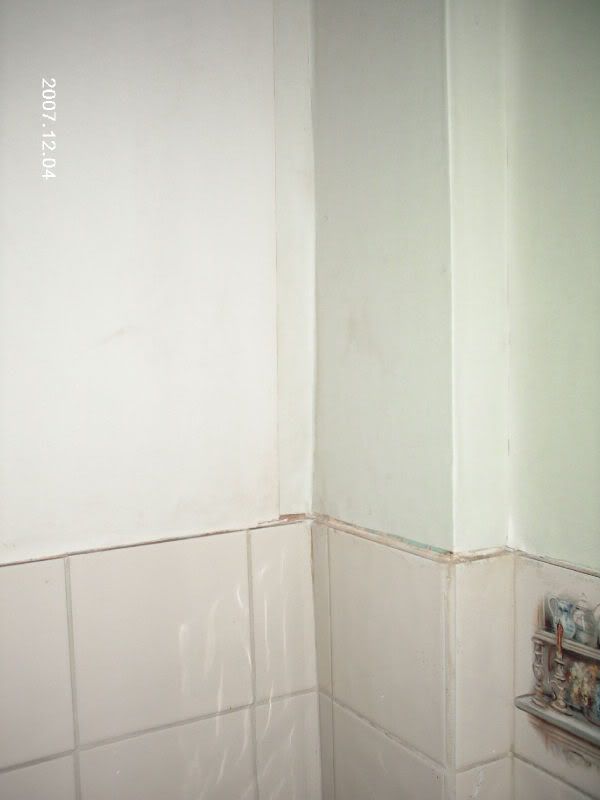 IMAG0066.jpg