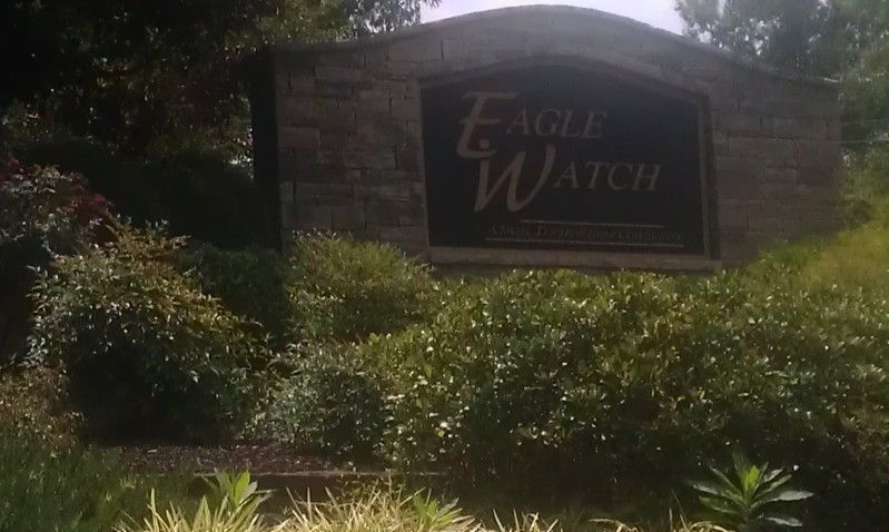 Eagle Watch (C)