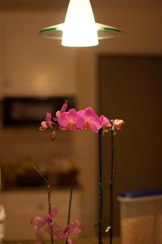 IMAGE: http://img.photobucket.com/albums/v732/bsong/test1of1.jpg