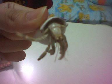 Image hosted by Photobucket.com