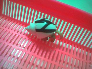 Image hosted by Photobucket.com