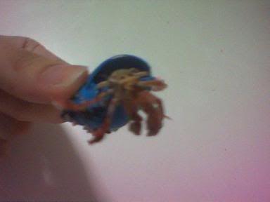 Image hosted by Photobucket.com