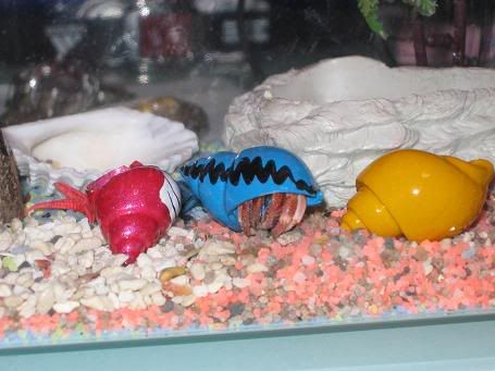 Image hosted by Photobucket.com