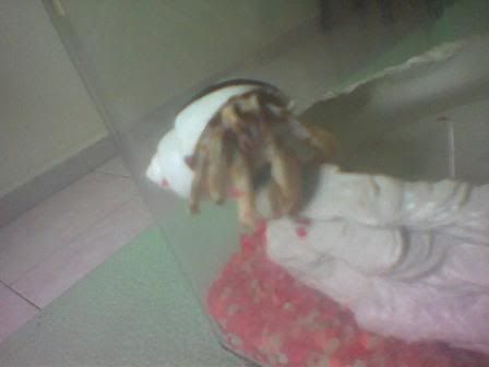 Image hosting by Photobucket