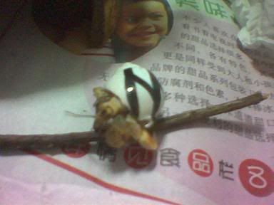 Image hosted by Photobucket.com