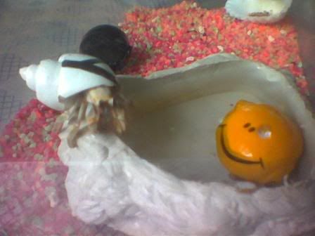 Image hosting by Photobucket