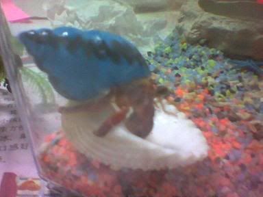 Image hosted by Photobucket.com