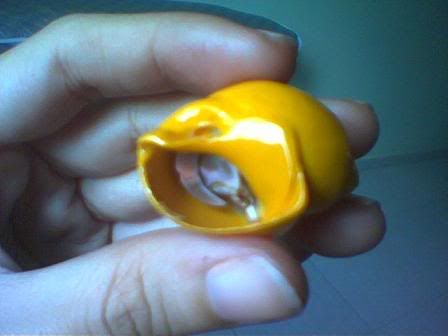 Image hosting by Photobucket