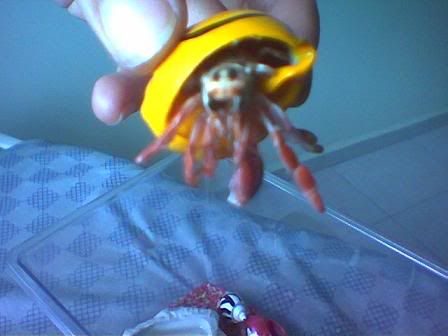 Image hosting by Photobucket