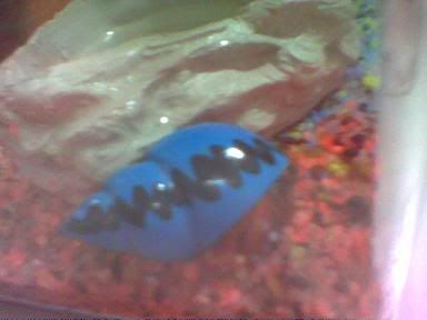 Image hosted by Photobucket.com