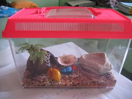 Image hosted by Photobucket.com