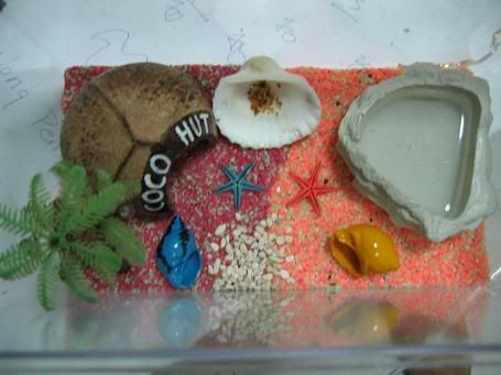 Image hosted by Photobucket.com