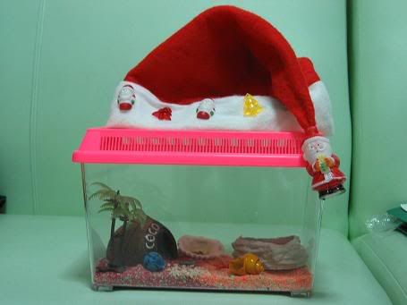 Image hosted by Photobucket.com