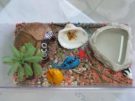 Image hosted by Photobucket.com