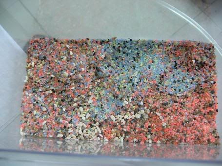 Image hosted by Photobucket.com