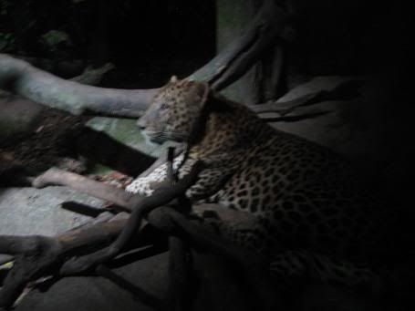 Image hosting by Photobucket