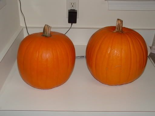 DSCF0035.jpg