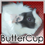 ButterCup Avatar