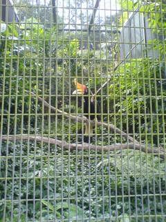 all the pictures are from my SE750i