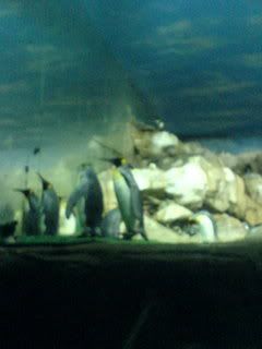 all the pictures are from my SE750i
