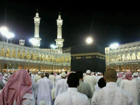 Photo4839.jpg image by wazapawa