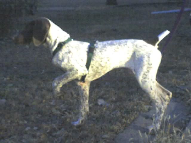 img025-1.jpg